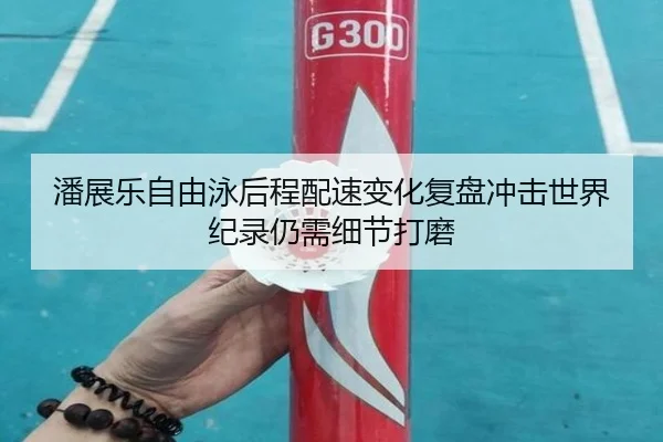 潘展乐自由泳后程配速变化复盘冲击世界纪录仍需细节打磨